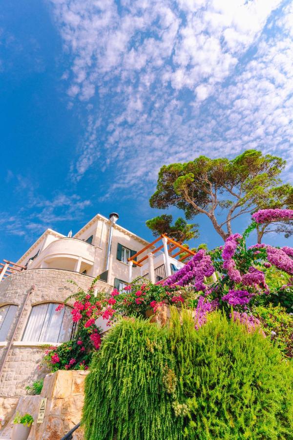 Villa Orabelle Dubrovnik Exteriör bild